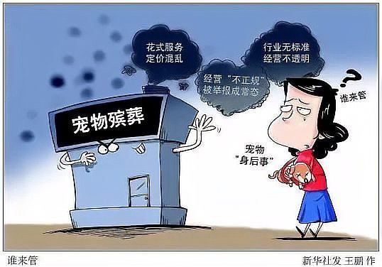 如何判斷一個機構是否具備龍魚火化資質？