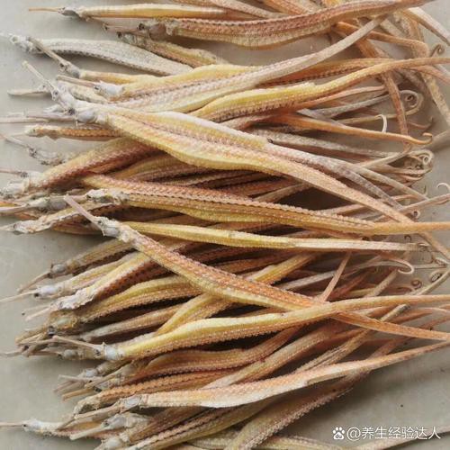 海龍魚圖片大全高清