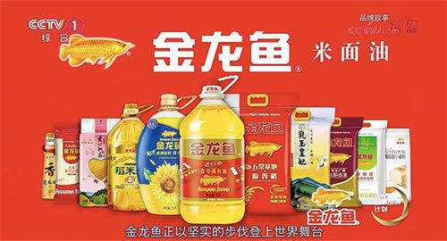 金龍魚logo設(shè)計(jì)歷程介紹（金龍魚logo的設(shè)計(jì)歷程與其品牌的發(fā)展緊密相連）