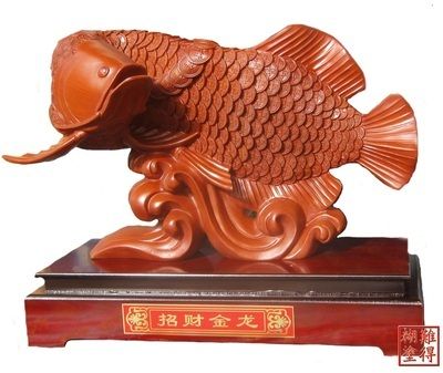 招財(cái)龍魚(yú)怎么養(yǎng)最好：招財(cái)龍魚(yú)擺件擺放方法和注意事項(xiàng)