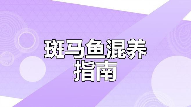 斑馬魚和龍魚能混養(yǎng)嗎圖片對(duì)比大全