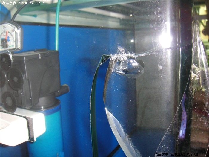 龍魚之家魚缸怎么樣好用嗎：龍魚之家魚缸在設計、材質、工藝、工藝、工藝、售后服務和價格