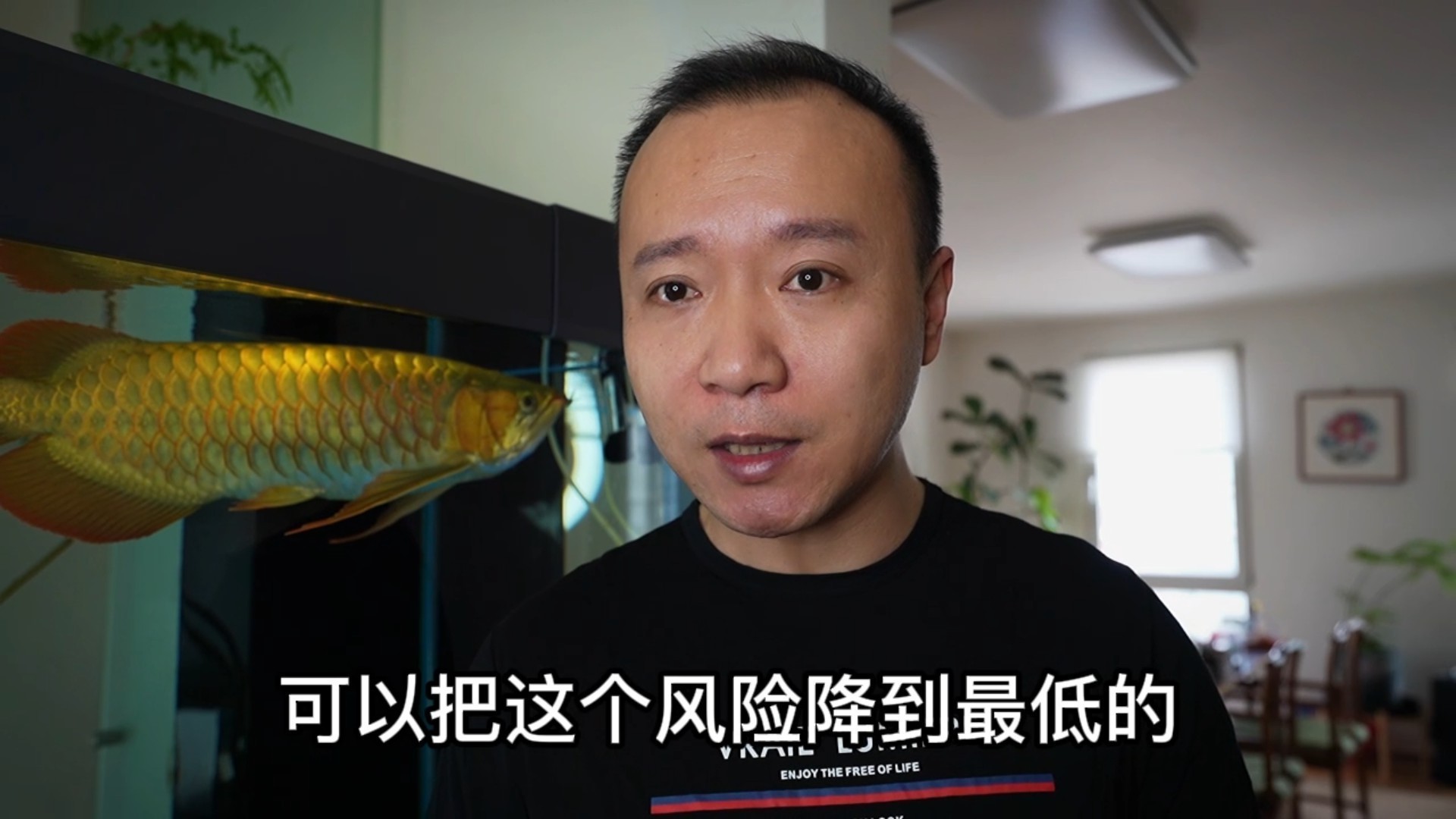 給我推薦一些龍魚寄生蟲藥物 給我推薦一些龍魚寄生蟲藥物 龍魚百科 第11張