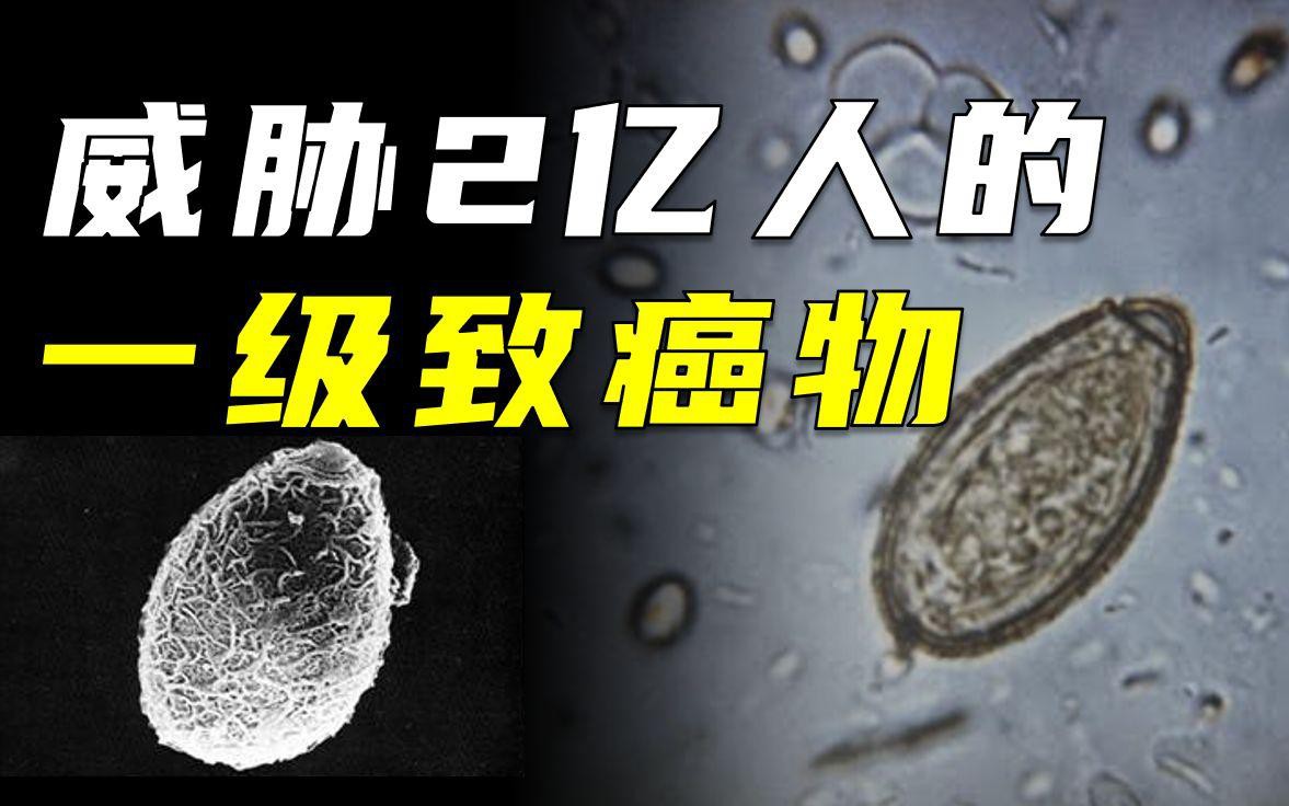 給我推薦一些龍魚寄生蟲藥物 給我推薦一些龍魚寄生蟲藥物 龍魚百科 第1張