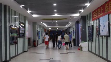 廣州有上門給龍魚做手術的醫院嗎多少錢：廣州寵物醫院大全