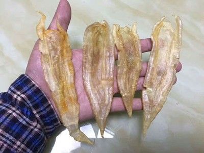 金龍魚膠的營養(yǎng)價(jià)值高嗎知乎（金龍魚膠的美容食譜推薦，孕婦食用金龍魚膠的注意事項(xiàng)） 金龍魚膠的營養(yǎng)價(jià)值高嗎知乎（金龍魚膠的美容食譜推薦，孕婦食用金龍魚膠的注意事項(xiàng)） 龍魚百科 第5張