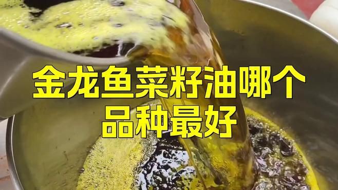 金龍魚子品牌有哪些