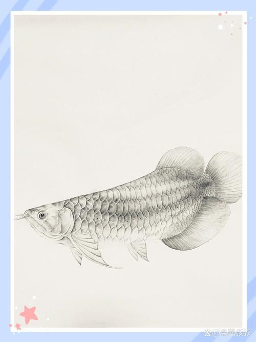 龍魚最簡單紋法圖解
