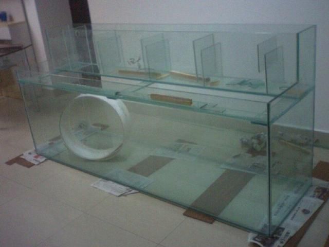 金龍魚過濾系統：金龍魚的過濾系統