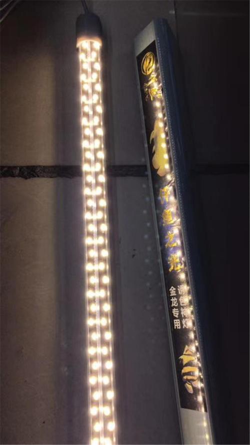 哪種品牌的燈管最適合過背金龍魚？