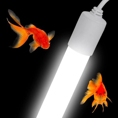 哪種品牌的燈管最適合過背金龍魚？