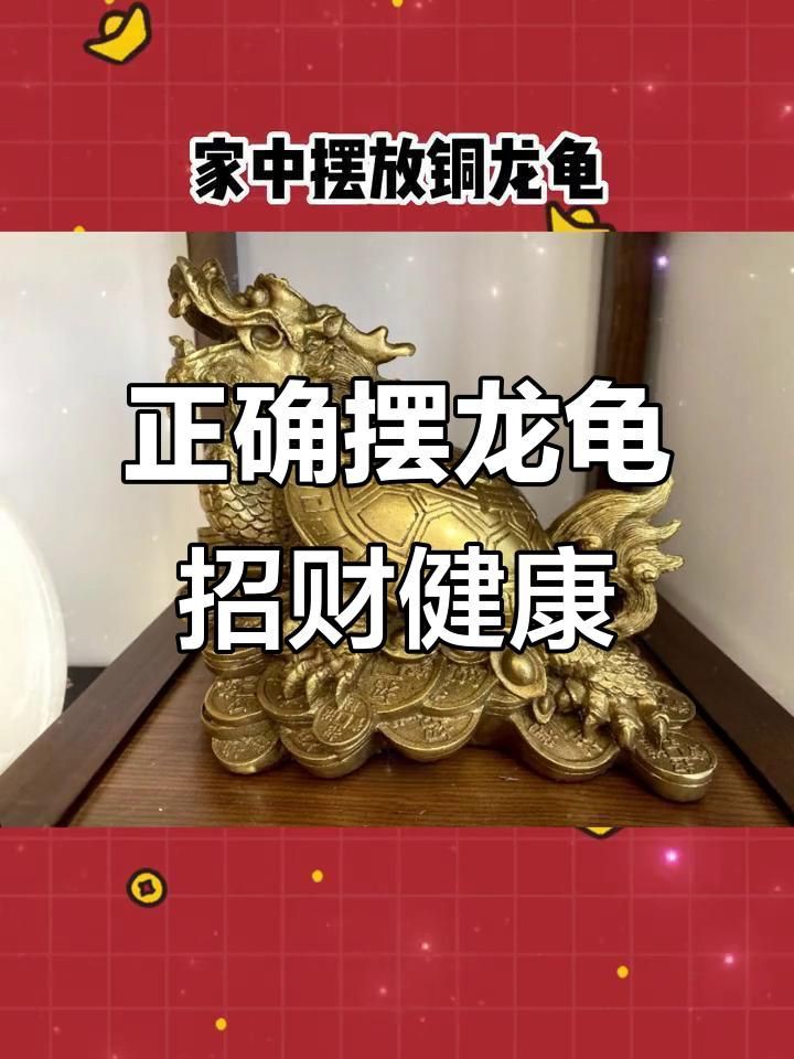 龍龜放魚缸的最佳擺放位置 龍龜放魚缸的最佳擺放位置 龍魚百科 第3張