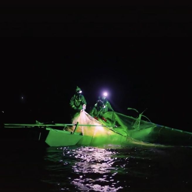 魚真菌病最佳治療方法 魚真菌病最佳治療方法 龍魚百科 第12張