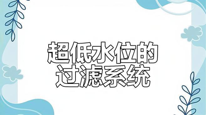 六角恐龍魚需要什么樣的過濾系統(tǒng)？