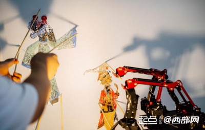 金龍魚如何發色快一點圖片(金龍魚怎么發色成金黃)