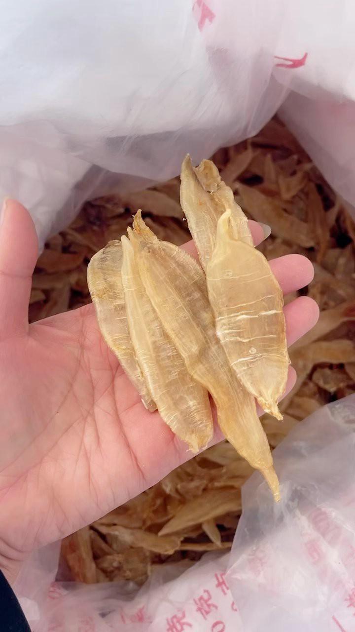 正宗金龍魚膠絲多少錢一克 正宗金龍魚膠絲多少錢一克 龍魚百科 第3張