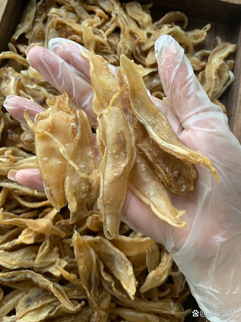 正宗金龍魚膠絲多少錢一克 正宗金龍魚膠絲多少錢一克 龍魚百科 第1張