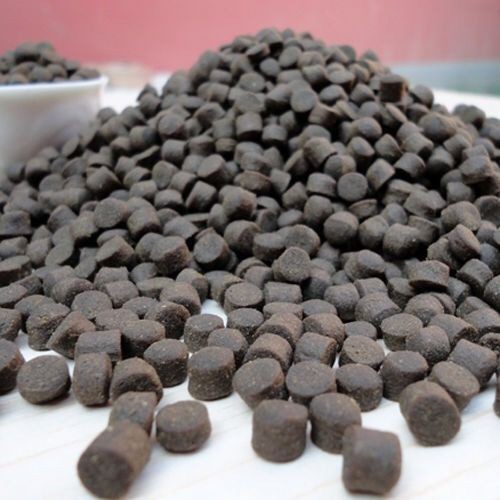 藍(lán)鯊能和恐龍魚混養(yǎng)嗎圖片