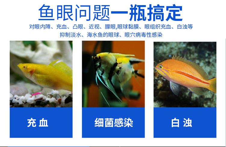 龍魚眼睛充血蒙眼怎么治：龍魚眼睛充血蒙眼怎么辦