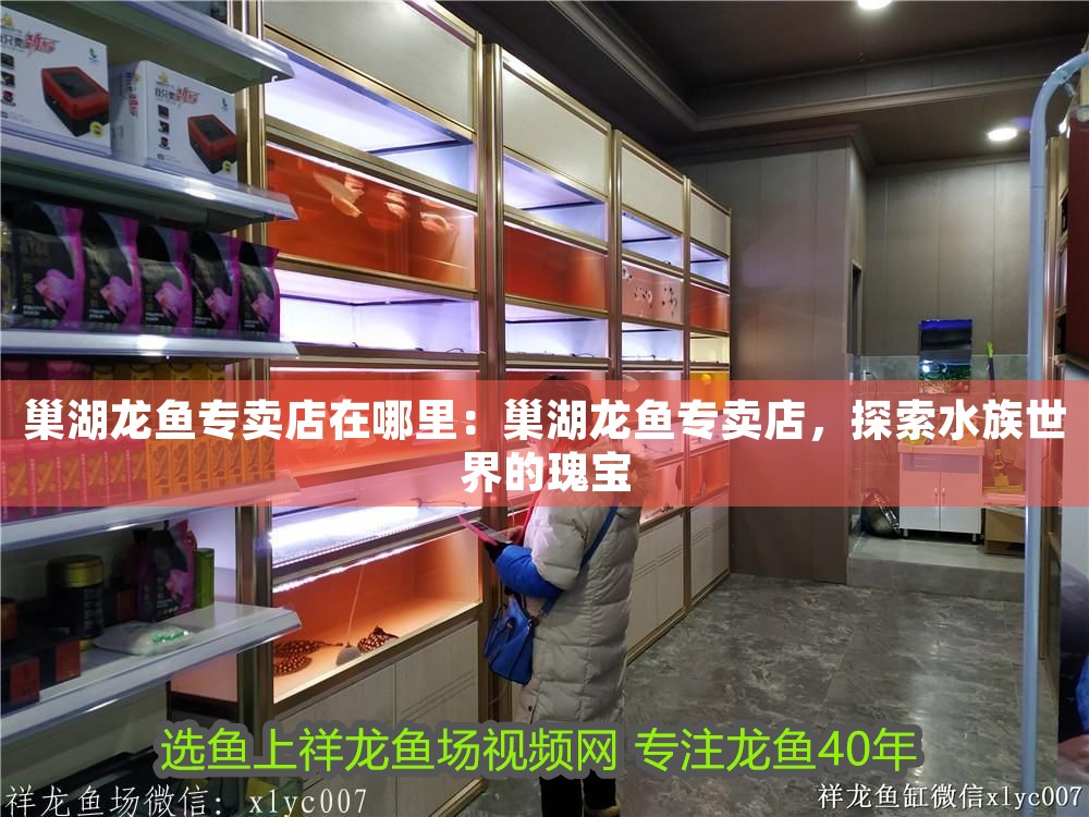 巢湖龍魚專賣店在哪里：巢湖龍魚專賣店，探索水族世界的瑰寶