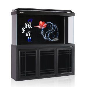 龍魚缸哪個品牌最好最先進的產品：龍魚缸品牌排行榜