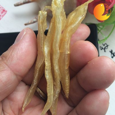 小金龍魚膠（小金龍魚膠是一種富含膠原蛋白的保健品被認為具有多種健康益處）