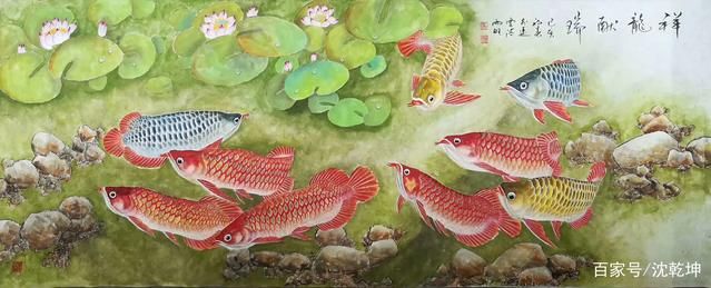 工筆畫金龍魚（工筆畫金龍魚的基本步驟）