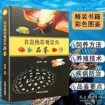 金龍魚為什么要美容養護：為什么要給金龍魚“美容”？