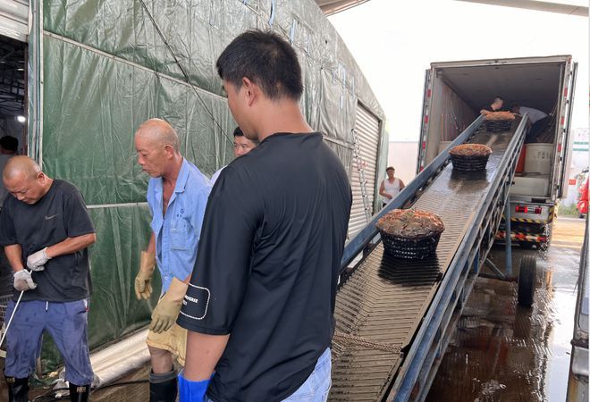 紅龍魚四大漁場排名榜（中國四大漁場排行榜紅龍魚十大漁場排名揭秘）