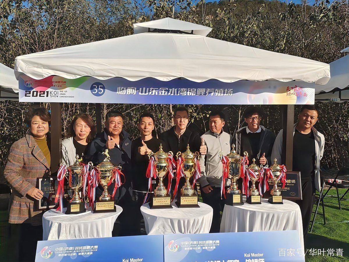 錦鯉的隱墨怎么出來