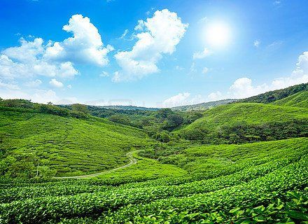 馬來(lái)西亞最著名的景點(diǎn)