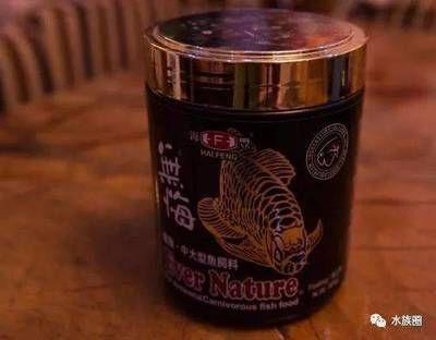 龍魚可以喂小龍蝦嗎怎么喂：龍魚可以喂食小龍蝦嗎 龍魚可以喂小龍蝦嗎怎么喂：龍魚可以喂食小龍蝦嗎 龍魚百科 第5張