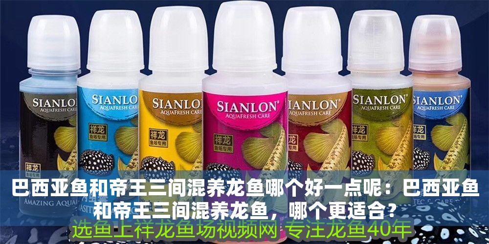 巴西亞魚和帝王三間混養(yǎng)龍魚哪個(gè)好一點(diǎn)呢：巴西亞魚和帝王三間混養(yǎng)龍魚，哪個(gè)更適合？