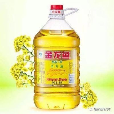 如何進(jìn)口金龍魚（廣州千杰水產(chǎn)技術(shù)有限公司在海關(guān)的幫助下完成金龍魚的進(jìn)口流程）