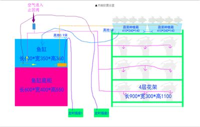 魚缸水泵止回閥安裝位置示意圖，魚缸水泵止回閥安裝注意事項(xiàng)