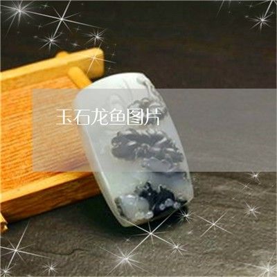 紅色龍魚玉寓意是什么（了解玉器龍魚寓意,欣賞玉石龍魚圖片!）