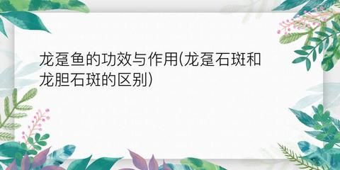 龍魚的拼音怎么寫：龍魚是什么？