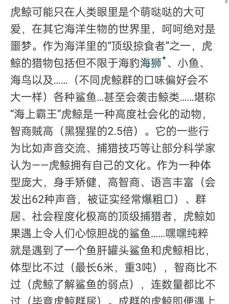 鯨魚(yú)為什么不傷害人類(lèi) 龍魚(yú)百科 第5張 鯨魚(yú)為什么不傷害人類(lèi) 鯨魚(yú)為什么不傷害人類(lèi) 龍魚(yú)百科 第5張