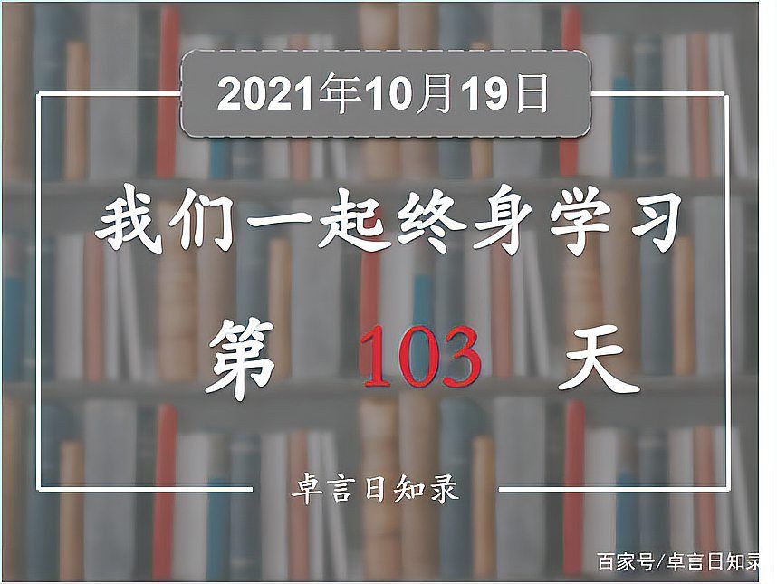 鯨魚(yú)為什么不傷害人類(lèi) 龍魚(yú)百科 第11張 鯨魚(yú)為什么不傷害人類(lèi) 鯨魚(yú)為什么不傷害人類(lèi) 龍魚(yú)百科 第11張