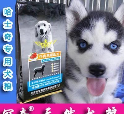 龍魚白點病怎么治療：如何快速診斷龍魚白點病