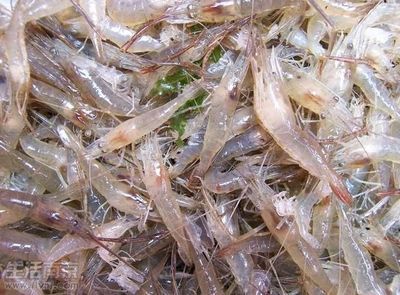 鳊魚吃龍蝦嗎：小龍蝦和鳊魚可以一起混養，鳊魚可能會吃龍蝦嗎