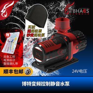 龍魚游不起來了：龍魚無法游動的原因及相應的解決方案