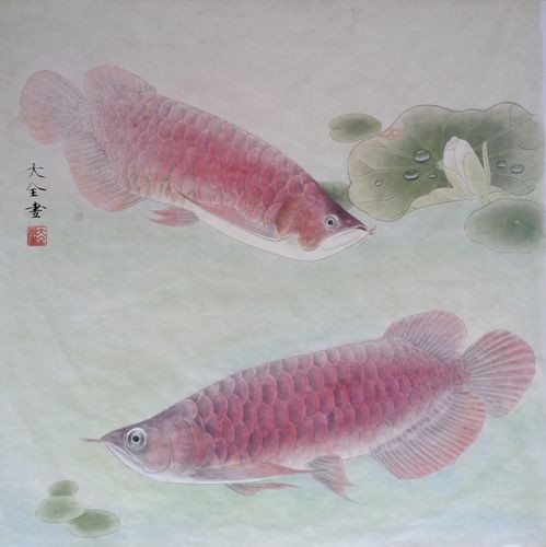 金龍魚繪畫圖片大全大圖