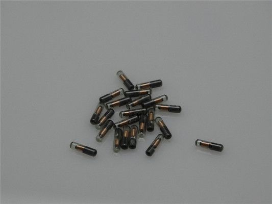 龍魚的芯片在哪里：關于龍魚芯片的詳細解釋 龍魚的芯片在哪里：關于龍魚芯片的詳細解釋 龍魚百科 第2張