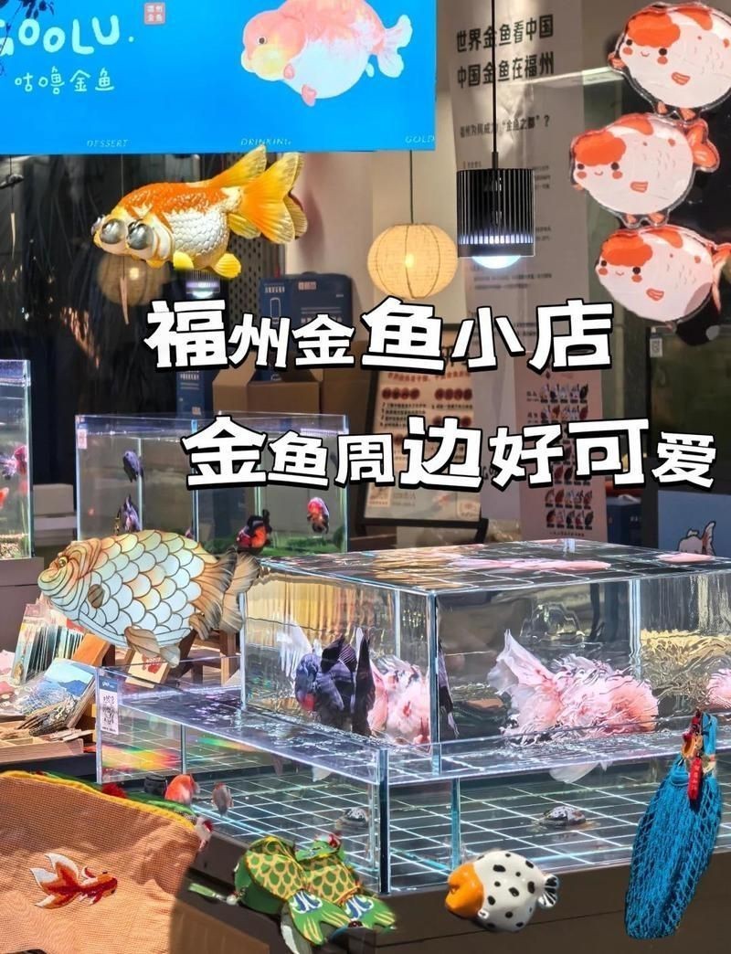 金魚店100米以內