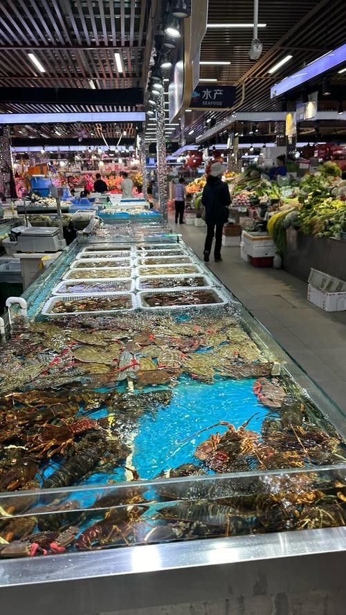樂山龍魚專賣店
