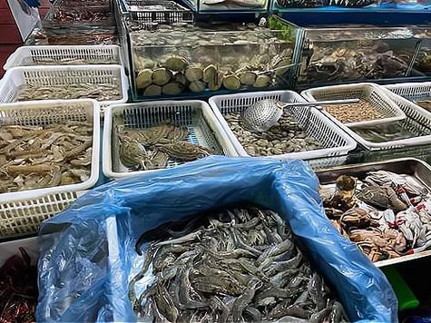樂山龍魚專賣店