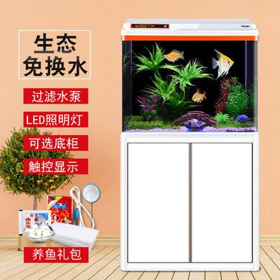 最好紅龍魚：\"最好的紅龍魚\"飼養技巧