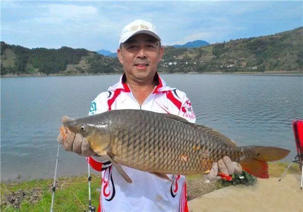 七紋巨鯉魚最佳飼養(yǎng)水溫：七紋巨鯉魚的最佳飼養(yǎng)水溫