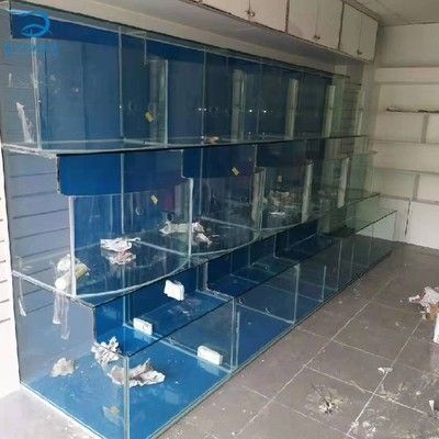好魚缸能用多少年壽命的水呢（如何正確維護延長魚缸壽命）